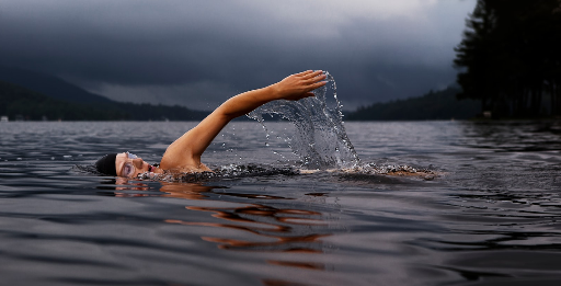Swim to Robin Island and train with us Swim to Robin Island and train with us